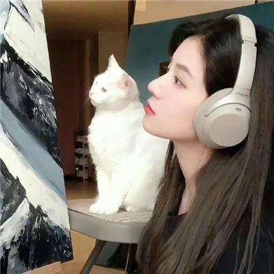 青云志 海报