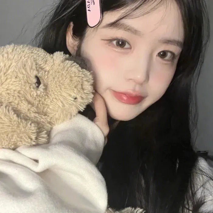 雪豹和她的朋友们 海报