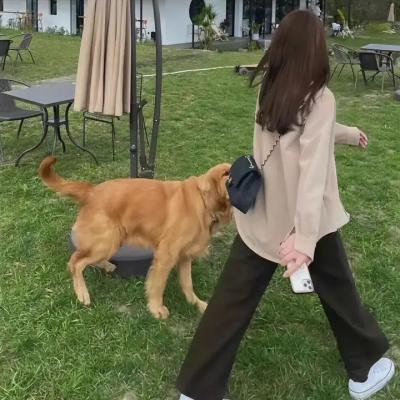 缉私群英粤语 海报